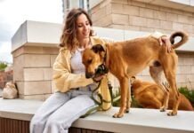 Why My Dog is Walking Slow with Head Down? Expert Insights A charming young smiling girl is resting on a bench while walking with two golden dogs. The girl