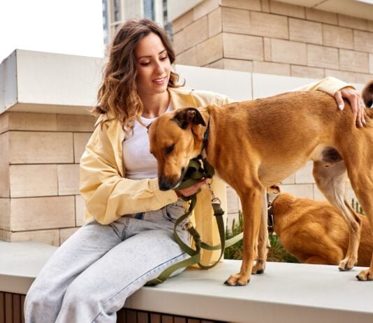 Why My Dog is Walking Slow with Head Down? Expert Insights A charming young smiling girl is resting on a bench while walking with two golden dogs. The girl