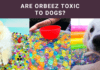 Are Orbeez Toxic to Dogs? Vital Safety Facts Revealed! Are Orbeez Toxic to Dogs